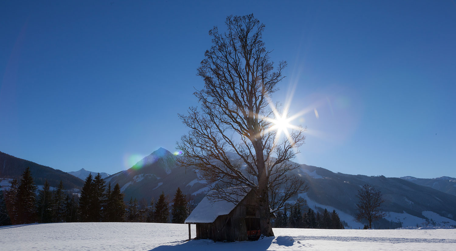 Winterwonderland in Pichl, Vorberg in der Ramsau