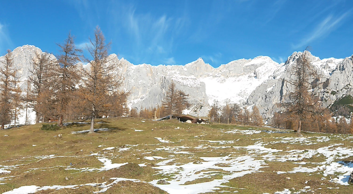 Urlaub im Hochegg - Panorama Dachstein